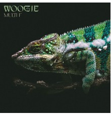 Woogie - Multi F