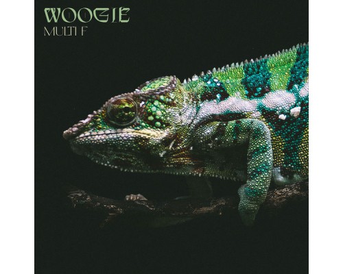 Woogie - Multi F