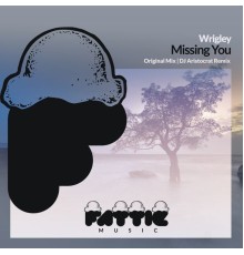 Wrigley - Missing You