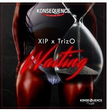 XIP, TrizO, Konsequence Muzik - Waiting