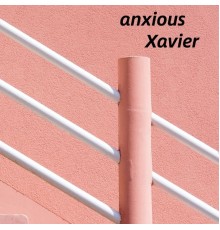 Xavier - anxious