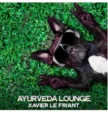 Xavier Le Friant - Ayurveda Lounge