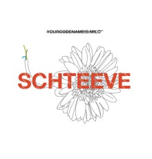 YOURCODENAMEIS:MILO - Schteeve