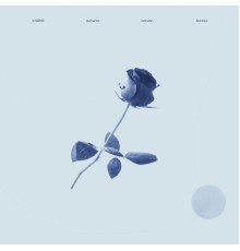 Y Bülbül, Yumurta - Not One, Not Two