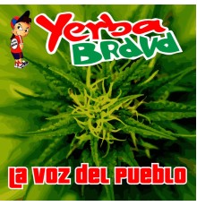 Yerba Brava - La Voz del Pueblo