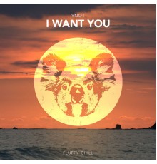 Ynot - I Want You