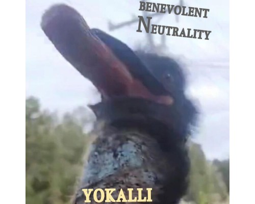 YoKalli - Benevolent Neutrality