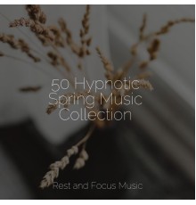 Yoga Namaste, Yoga Sounds, Zen Music Garden - 50 Hypnotic Spring Music Collection