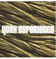 York - Experience