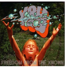 You - Freedom from the Known