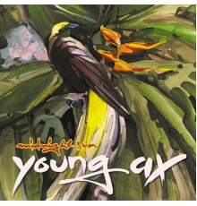 Young Ax - Midnight Sun