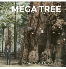 Yves Montand - Mega Tree