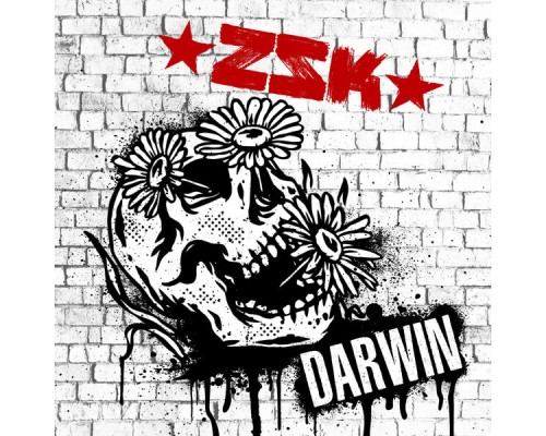 ZSK - Darwin