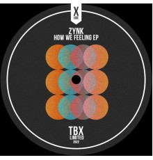 ZYNK - How We Feeling EP