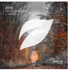 ZaVen - Precious Moment