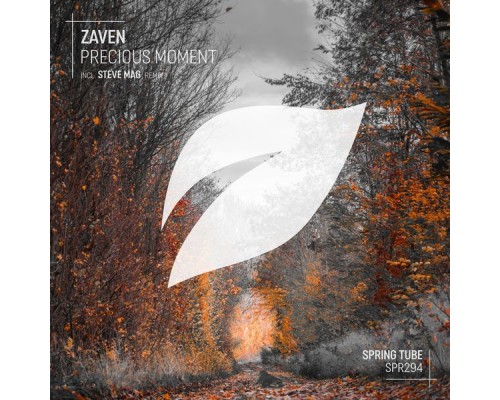 ZaVen - Precious Moment