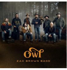 Zac Brown Band - The Owl