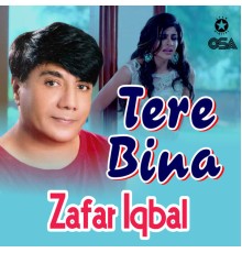 Zafar Iqbal - Tere Bina