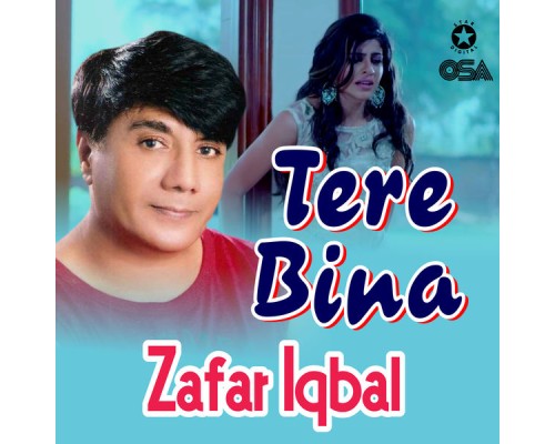 Zafar Iqbal - Tere Bina