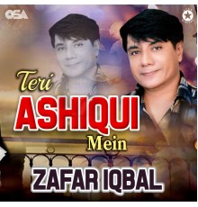 Zafar Iqbal - Teri Ashiqui Mein