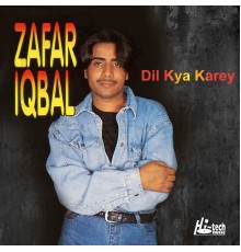 Zafar Iqbal - Dil Kya Kare