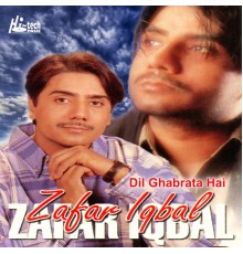 Zafar Iqbal - Dil Ghabrata Hai