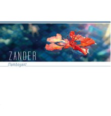 Zander - Flamboyant