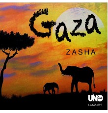 Zasha - Gaza