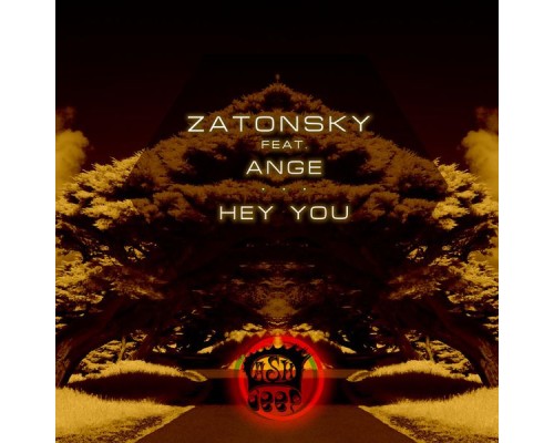 Zatonsky feat. Ange - Hey You