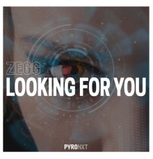 Zegg - Looking for You