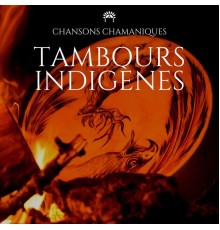 Zen Musique Détente, Musique de Relaxation, Chansons Chamaniques, AP - Tambours indigènes