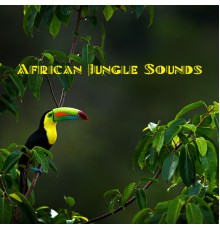 Zen Soothing Sounds of Nature, Healing Power Natural Sounds Oasis and Tranquil Sounds of Nature - African Jungle Sounds (Relaxing Sounds of Nature, Tropical Rainforest Ambience)