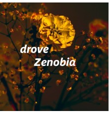 Zenobia - drove