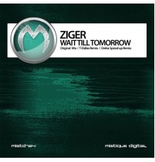 Ziger - Wait Till Tommorow