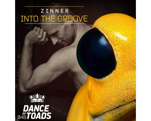 Zinner - Into The Groove