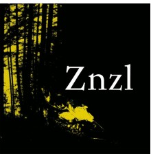 Znzl - Gaze Upon