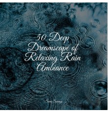 Zona Música Relaxante, Sleep Sounds, Alpha Waves - 50 Deep Dreamscape of Relaxing Rain Ambiance