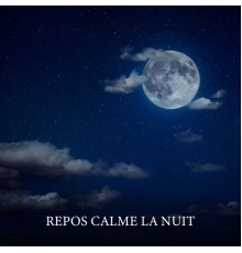 Zone de la Musique Relaxante and Sophrologie musique d'ambiance - Repos calme la nuit (Apaiser l'insomnie, Dormir profondément)