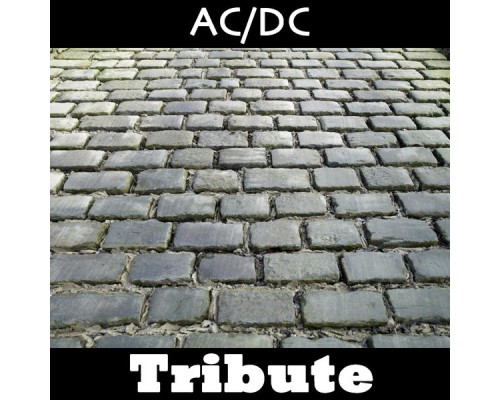Zonin - Back in Black: A Tribute to AC/CD