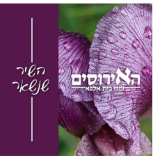 האירוסים - זמרי בית אלפא - השיר שנשאר