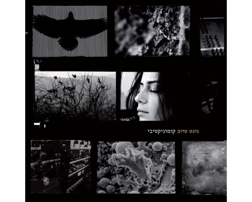 נינט טייב - קומוניקטיבי