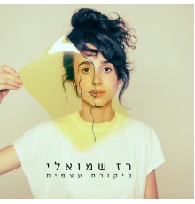 רז שמואלי - ביקורת עצמית