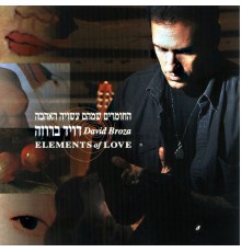 דויד ברוזה - החומרים שמהם עשויה האהבה