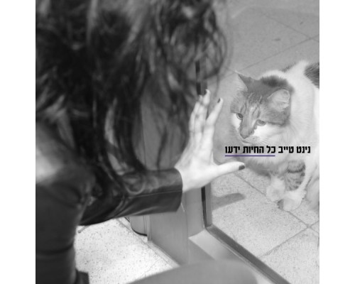 נינט טייב - כל החיות ידעו