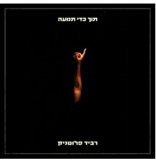 רביד פלוטניק - תוך כדי תנועה