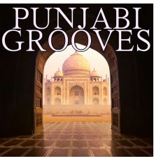 Various Artists - Punjabi Grooves