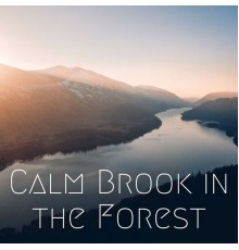 amazing Spa Experience, Meditation Bliss, Nature Radio 1 - Calm Brook in the Forest