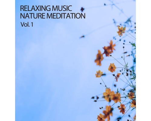 amazing Spa Experience, Sleep Meditation, Spa Music Hour - Relaxing Music Nature Meditation Vol. 1