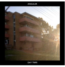 angular  - Day Trips