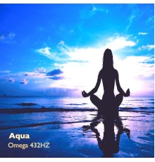 aqua - Omega 432